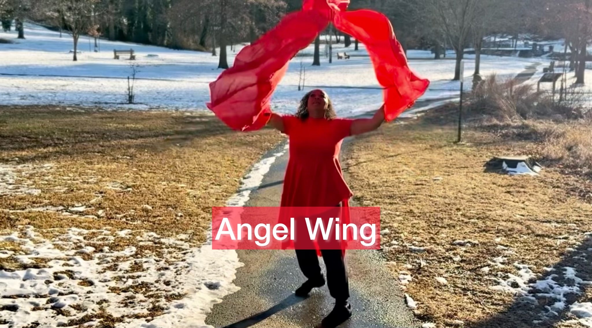 The Redeemed 8mm Silk Worship Flags Worship With Flags the-redeemed-8mm-silk-worship-flags-worship-with-flags